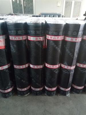 壽光市豚王防水材料 專業(yè)打造建筑防水防潮解決方案